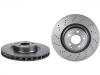 Brake Disc:172 421 02 12